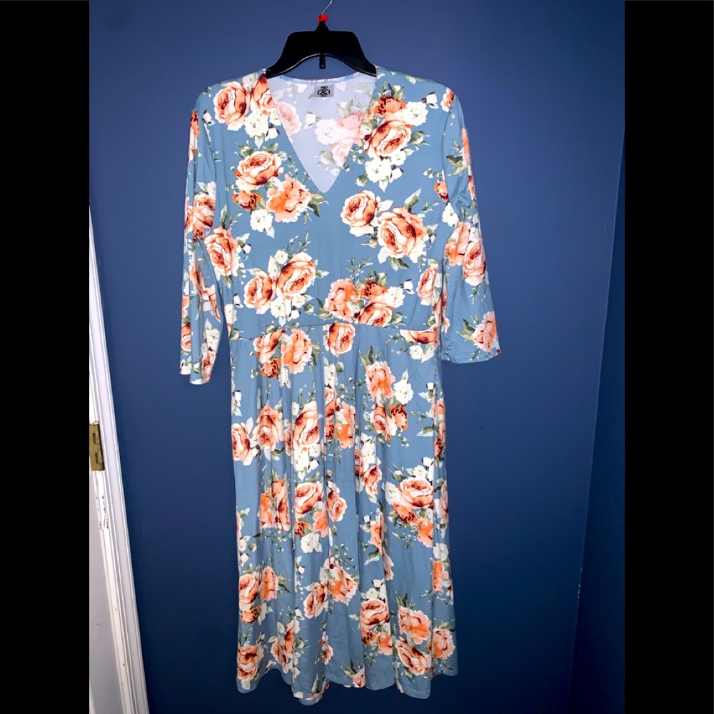 Gorgeous Agnes and Dora dress! Powder Blue with Roses Size XL EUC
